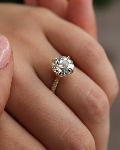 Old European Rosehip Ring