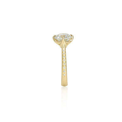 Rosehip Diamond Ring